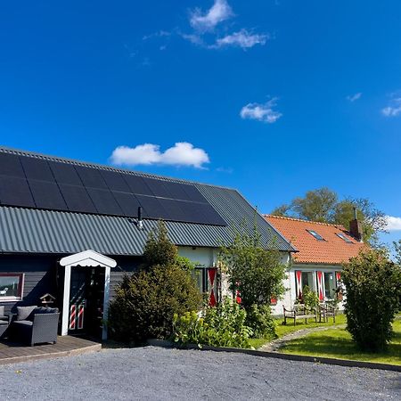 Het Zoete Peerd Bed & Breakfast Groede Exterior photo
