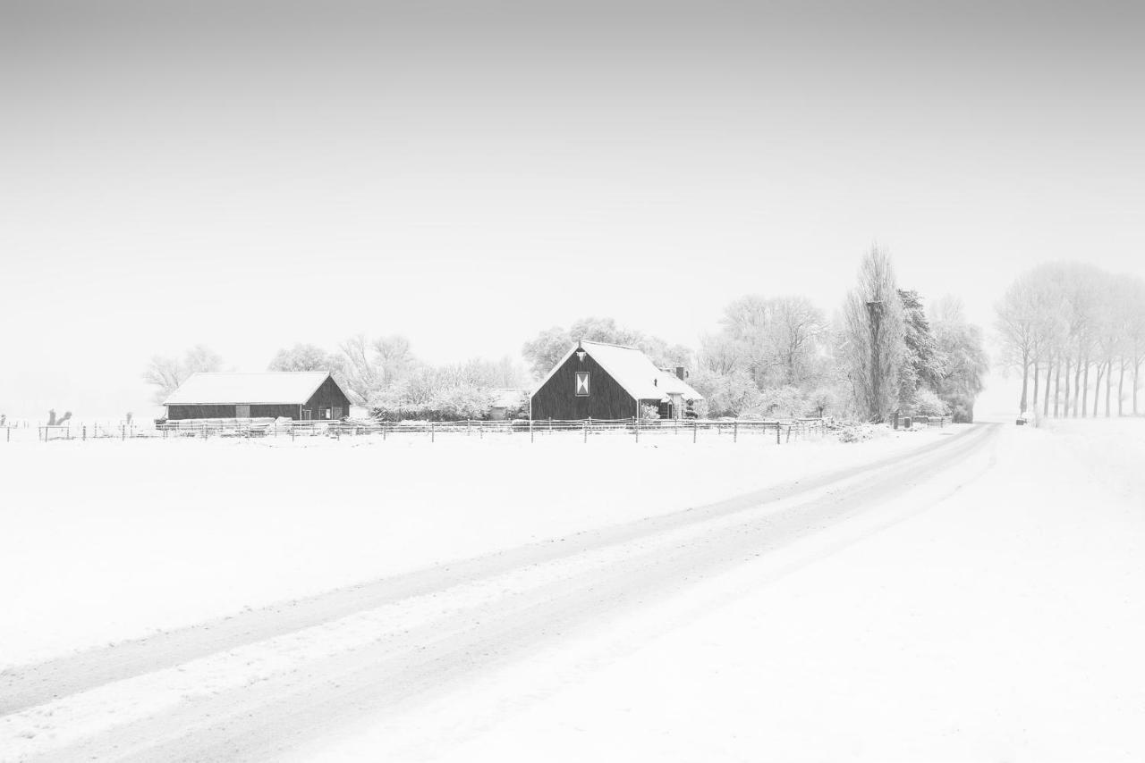 Het Zoete Peerd Bed & Breakfast Groede Exterior photo