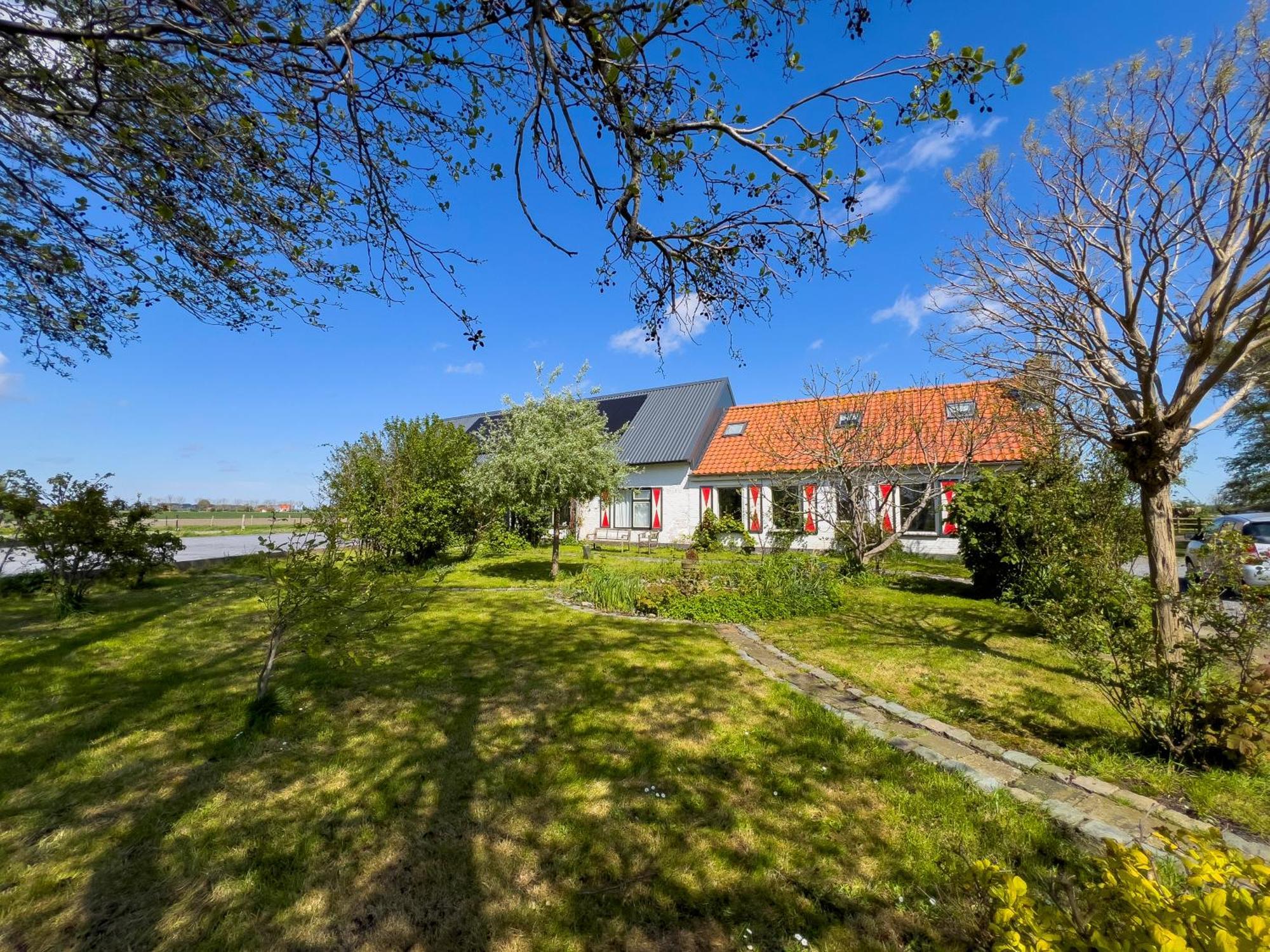 Het Zoete Peerd Bed & Breakfast Groede Exterior photo